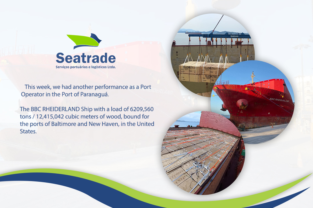 Performance as a Port Operator in the Port of Paranaguá